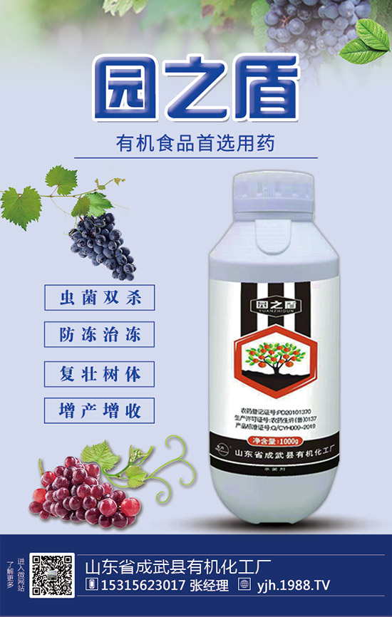 甘蔗需肥特性,甘蔗施肥技術(shù)和要點(diǎn)!