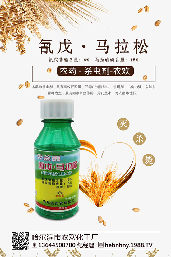 �x���߷��ڡ������xຸ�Ч���x�����Դ������