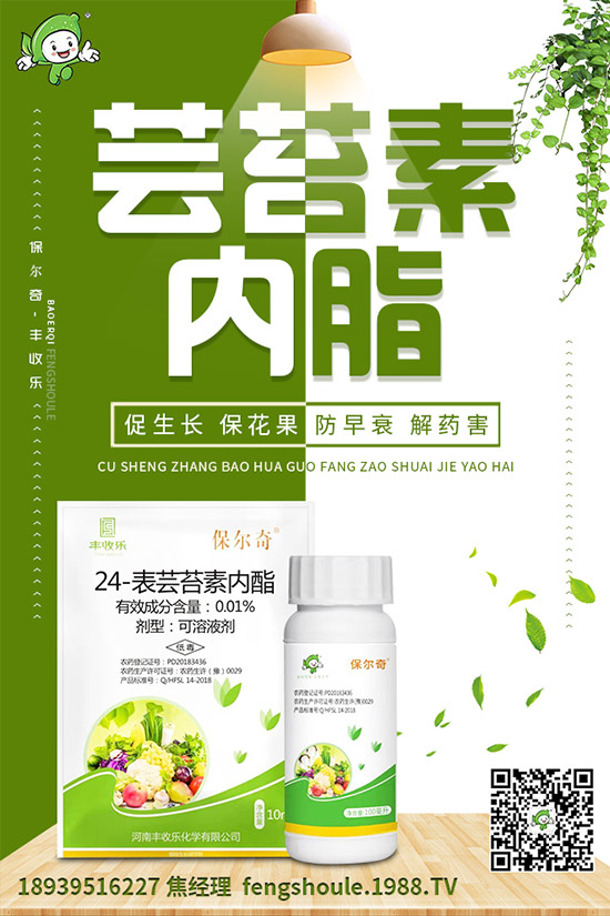 �������ô�޽ӣ���ϼ޽Ӹ߮a(ch��n)�Nֲ���g(sh��)��