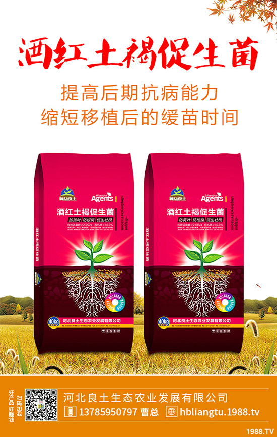 �{��ʲô�r(sh��)��Nֲ�^�����{�˵ķNֲ���g(sh��)�c���g����