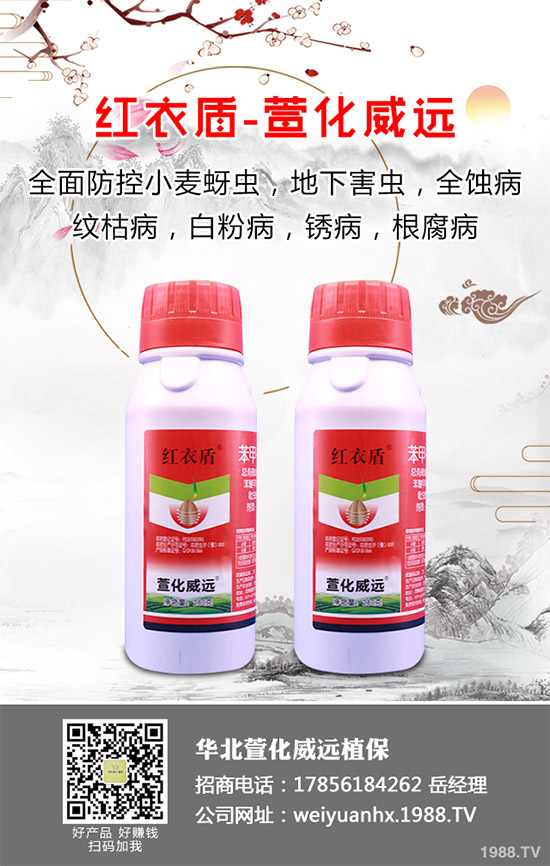     �𻨿��ֽв�ܽ����Ұܽ�صȵȣ���һ�N��ˎ����ʳ�Þ�һ�w����������Ѫ���(zh��n)ʹ�ȸ��N��Ч�Ĳݱ�ֲ���Ҫ����ˮ�[��������I�B(y��ng)�r(ji��)ֵҲ�Ƿǳ��S���������҇��ǳ��ܚgӭ����ô���𻨿�ԓ������������𻨿��߮a(ch��n)���༼�g(sh��)����Щ��