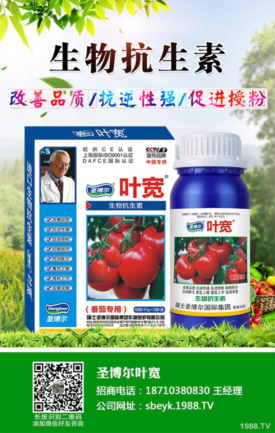 ���ﱡƤ���ԓ������ࣿ��Ƥ��ϸ߮a(ch��n)���༼�g(sh��)