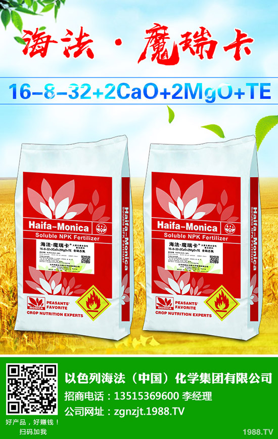     ���ј�(sh��)��(sh��)���L(zh��ng)�l(f��)��ԭ������Щ��ԓ��ô�k�����ѵ��ļ��������g(sh��)��