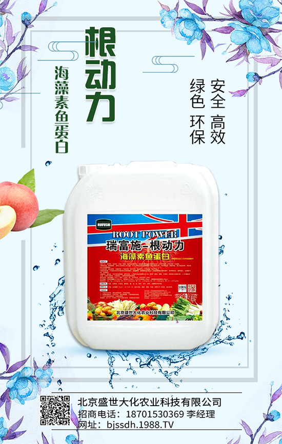 �Ә�(sh��)��ô���綨ֲ��������������M(j��n)�м޽���