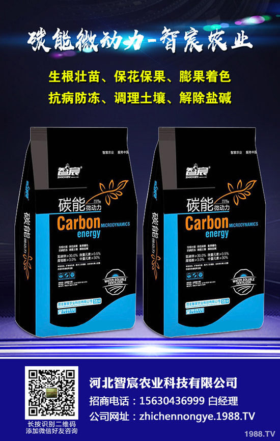 ���ϵ��������������ʩ���Ľ��ɣ�