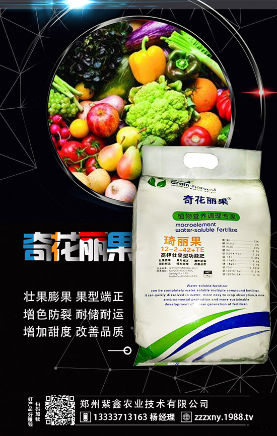 ��ݮĸ�綨ֲ������ʩ�������ӝ�ˮ��