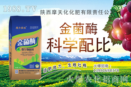 2020�����Nֲǰ����ô�ӣ������N�Ӷ����Xһ����