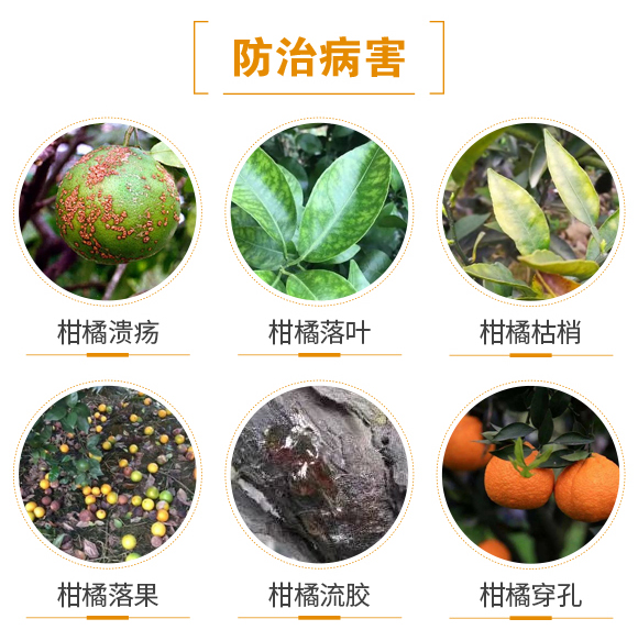 ��������-(li��n)��μ�_03