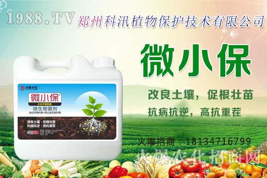 ����Ĺ�Ч�c���ã������c�����Ă�(g��)���РI�B(y��ng)��