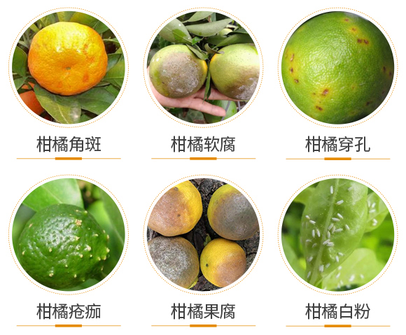 ��������-(li��n)��μ�_04