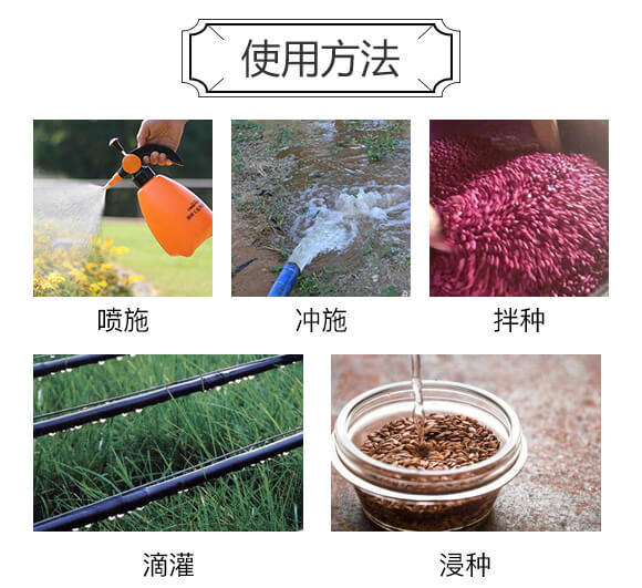 ��������-�����S_05