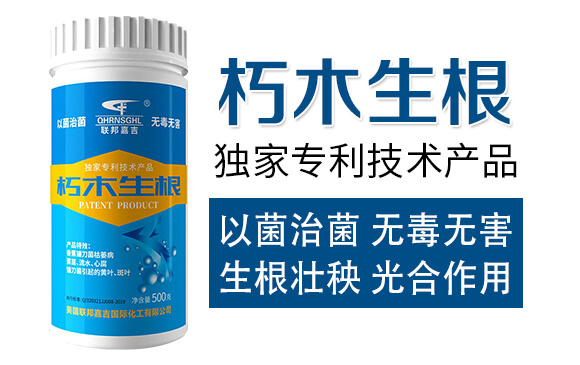 ��ľ����-(li��n)��μ�_02