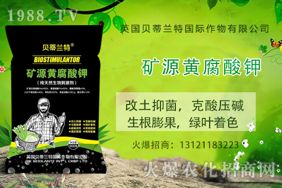 ���ܹ���ô�N�����ܹϷNֲ��ԓע����Щ�����