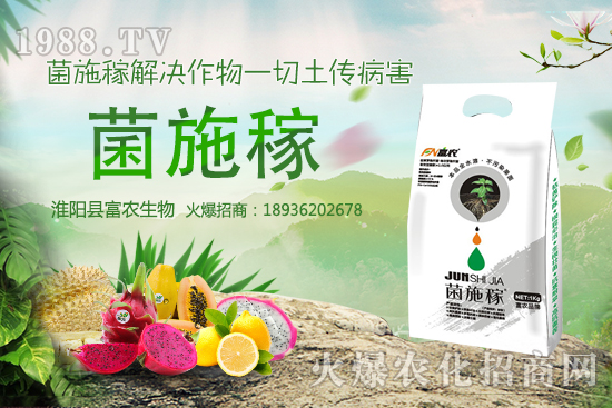 2020���r(n��ng)��NҰ��ٍ�X�����x����ЩҰ��Ʒ�NЧ��������h�ղ���