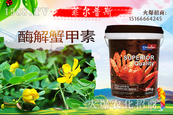 ������ô�Nֲ�������Nֲ���g(sh��)Ҫ�c(di��n)��