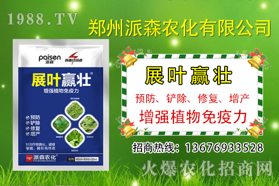 �²�ʲô�r�򲥷N���²��Ј�ǰ����������Nֲ�ɱ�������������