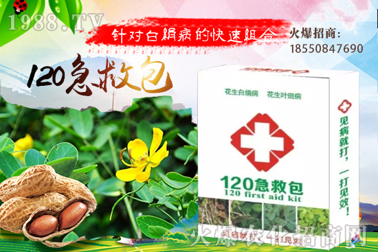 �S�ϼ޽���ʲô��̎����������S�ϼ޽�����