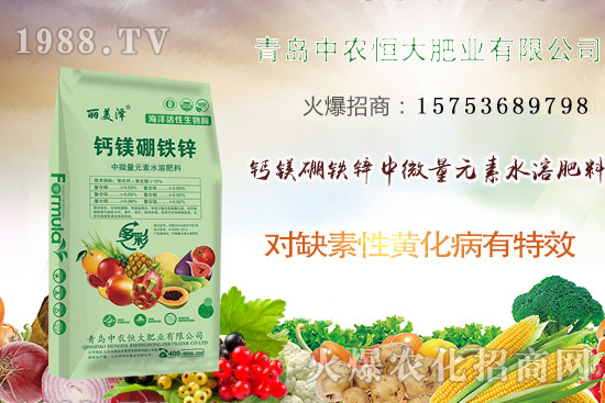 �²�ʲô�r�򲥷N���²��Ј�ǰ������������Nֲ�ɱ�������������