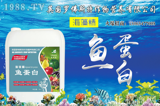 ���؃r(ji��)��