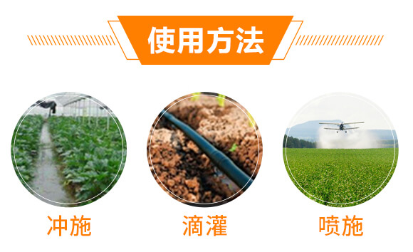 �ͺ�΢����_ʩ��-�{�������-���w��-���W����_09