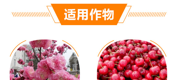 �ͺ�΢����_ʩ��-�{�������-���w��-���W����_10