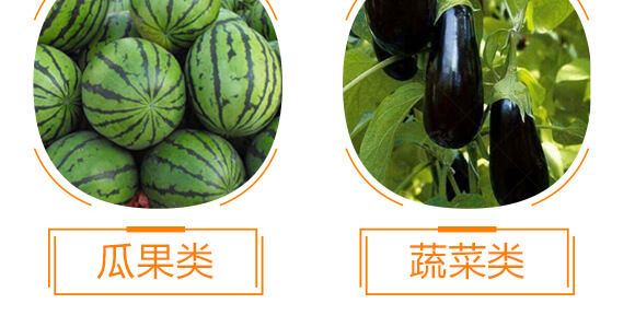 �ͺ�΢����_ʩ��-�{�������-���w��-���W����_12