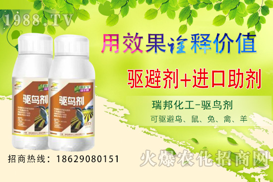 �ļ����@�B�������·������������󣡹��@�(q��)�B������