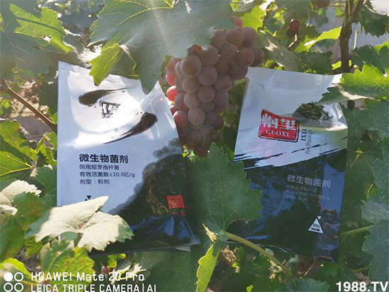 �îa(ch��n)Ʒ����������һ�t���΢������������t���͑��挍(sh��)������