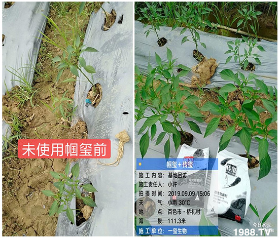 �îa(ch��n)Ʒ����������һ�t���΢������������t���͑��挍(sh��)������