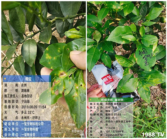 �îa(ch��n)Ʒ����������һ�t���΢������������t���͑��挍(sh��)������