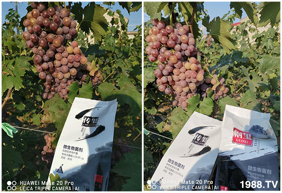 �îa(ch��n)Ʒ����������һ�t���΢������������t���͑��挍(sh��)������