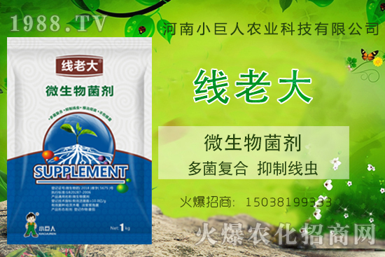 ���Y(ji��)���xզ���������Y(ji��)���x����-�����ϴ󡱶����(f��)�������ƾ��x��