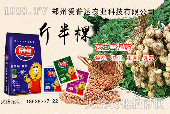 ��������ˎʲô�r��ʹ������������ˎ����Щ������