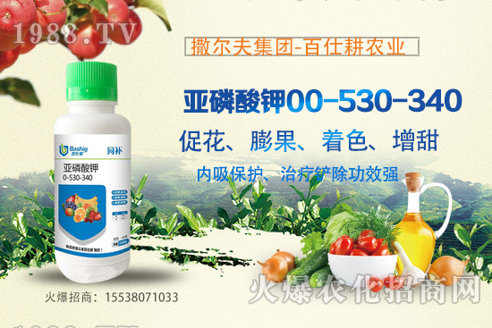 �I�B(y��ng)�������A(y��)�������������������@ôţ���������������ԭ����