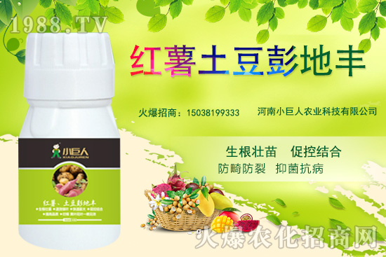 ����С������ô������˾��ʲô��(y��u)�������Ʈa(ch��n)Ʒ����Щ��