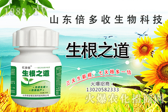 �����ϵ��a������������֮���������¸����������a�o�n��