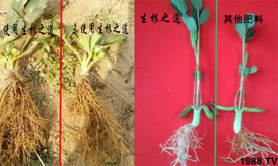 �����ϵ�����a������������֮���������¸����������a�o�n��