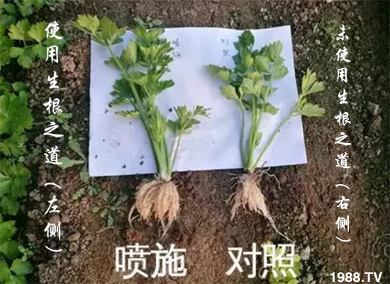 �����ϵ�����a������������֮���������¸����������a�o�n��