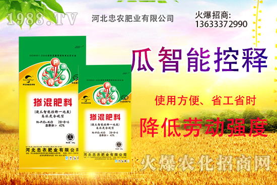 �������������Щ������ʵ�ʹ�÷�����ԓ����xُ(g��u)��