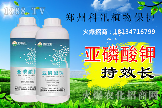 ������⛹�Ч�������C(j��)������Щ������������õĺ������