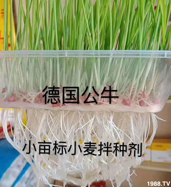 С����N�����a(ch��n)��С����N������x����С����N��Ʒ���x����