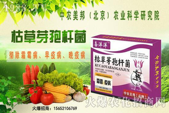 �ݲ�ѿ�ߗU���θ���������������Щ�������������Ό�������Щ��