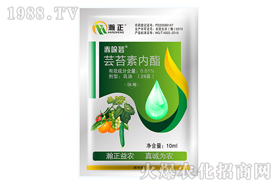 �|̦�؃�(n��i)����ʲô��(y��u)��(sh��)���|̦�؃�(n��i)����(f��)�䷽������Щ��