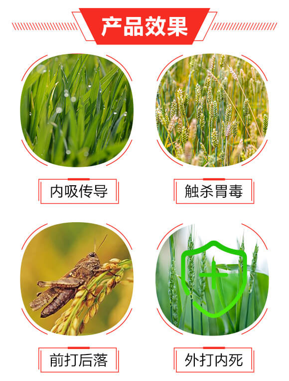 20%���衤���x����200ml��-��ϲ-�����_(d��)_03