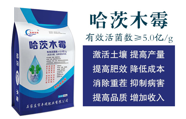 ����ľù-�S�T���r(n��ng)_02