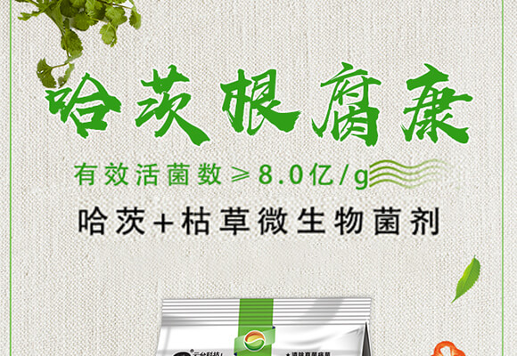 ���ĸ�����-���_��_01