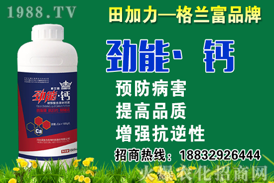 2020���}��ʲô�r(sh��)��N�����}���NֲҪע����Щ���}��