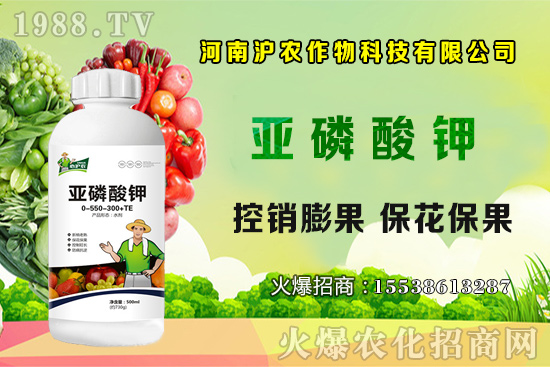 ���[����Ҫ�c(di��n)��֪���᣿���[��Ҋ(ji��n)���x(ch��ng)������Щ����η��Σ�