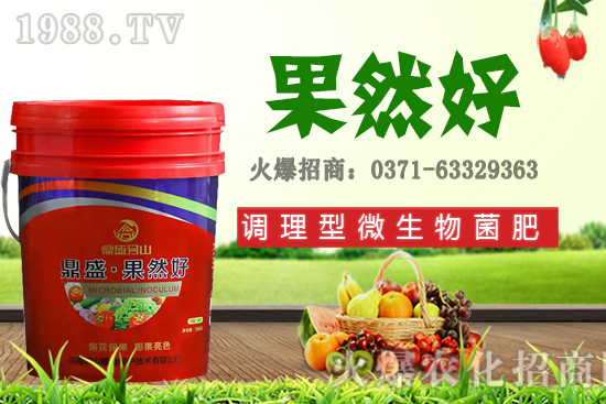 �＾�m�ϷNֲ��Щ���������첥�N���N����Ʒ�N���]��