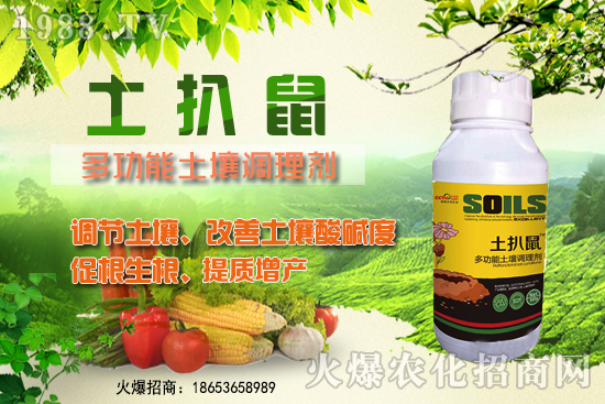 ������ʲô�r��Nֲ����������ô�x���Nֲ�����ô����